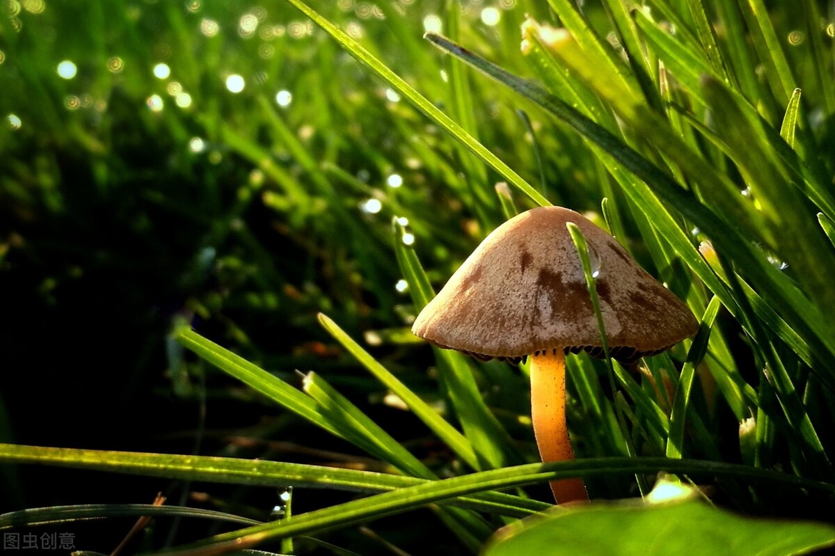 班主任正能量的故事,班主任案例故事