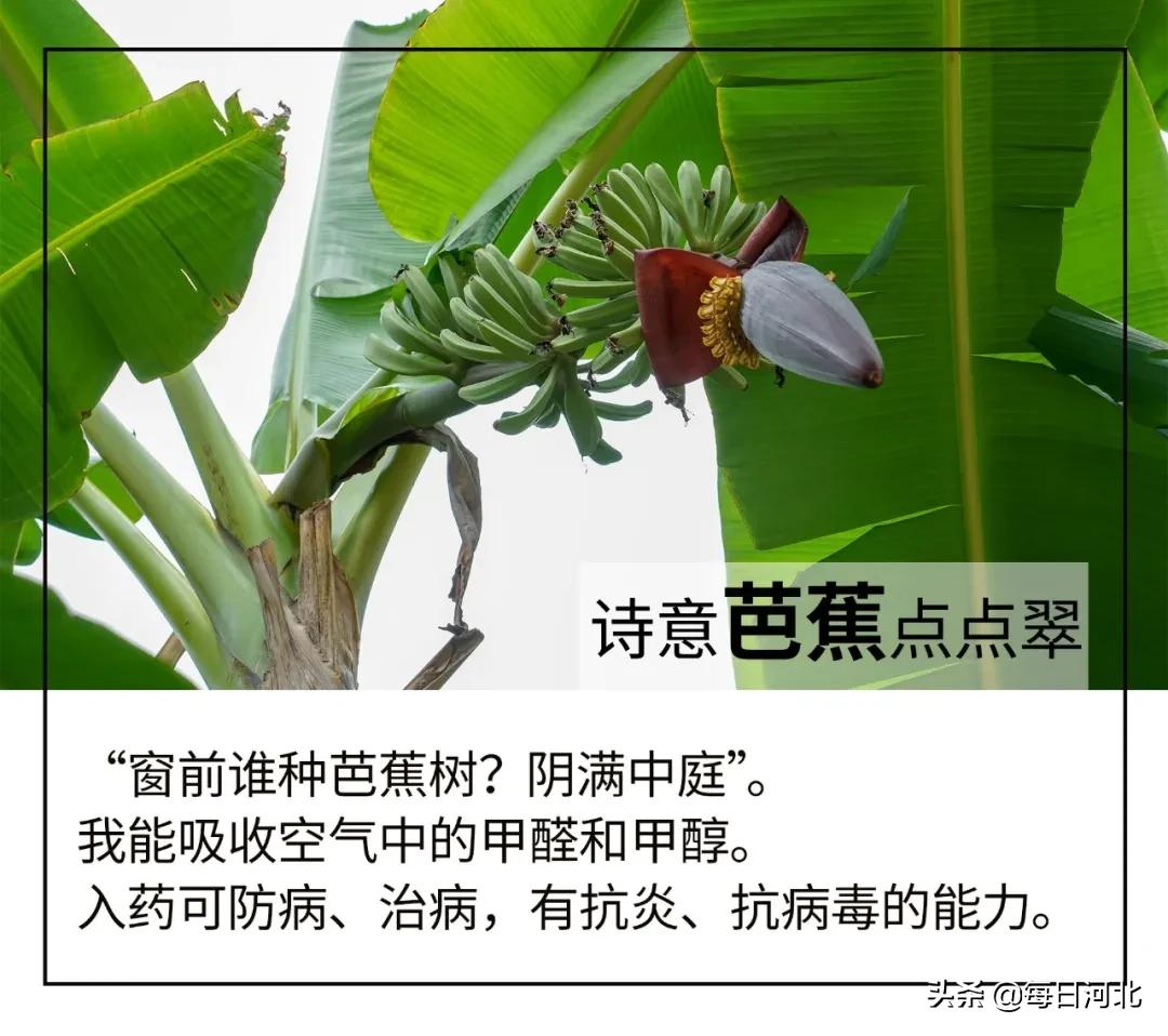 一个温暖又有趣的酒店,选择一个舒适温暖的酒店