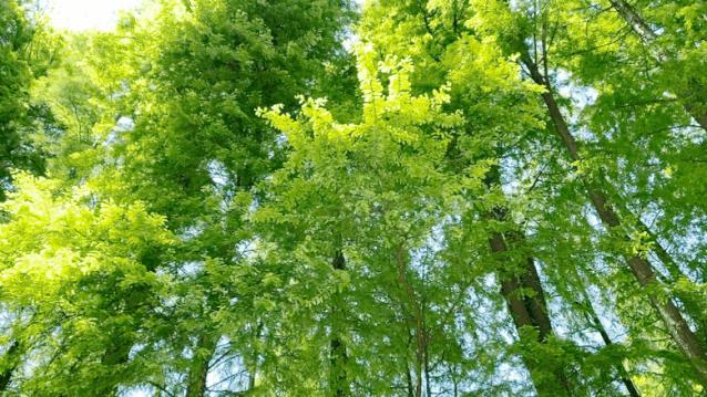 热҈热҈热҈热҈热҈!余杭超“清凉”景点集合