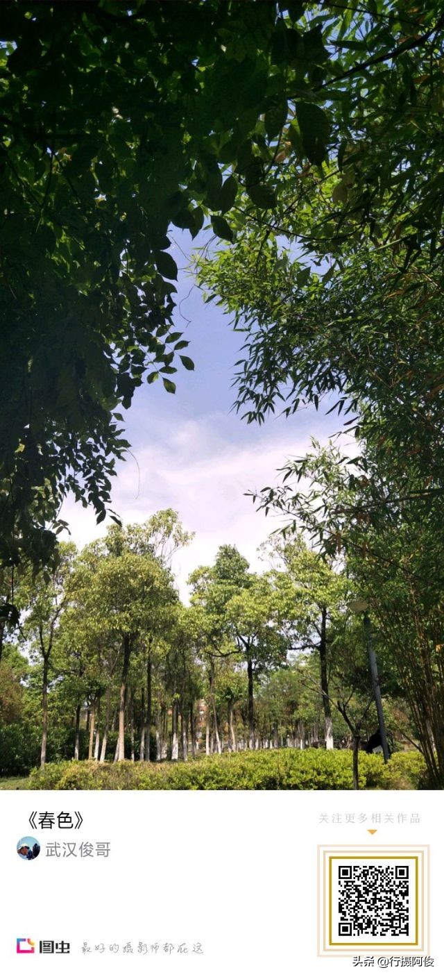 全国旅游投诉24小时热线,全国旅游最权威投诉电话