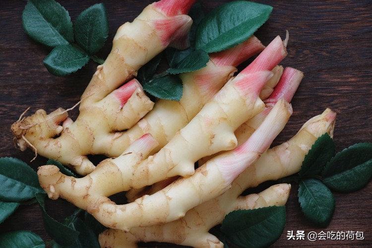 三伏天怎么吃姜嫩芽,三伏天生姜粉怎么吃最好