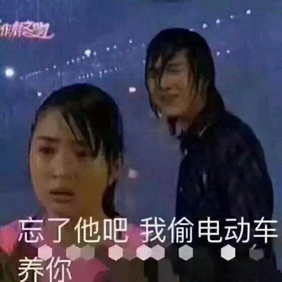 养的小荷兰猪为啥会死,豚鼠荷兰猪一般能活多久