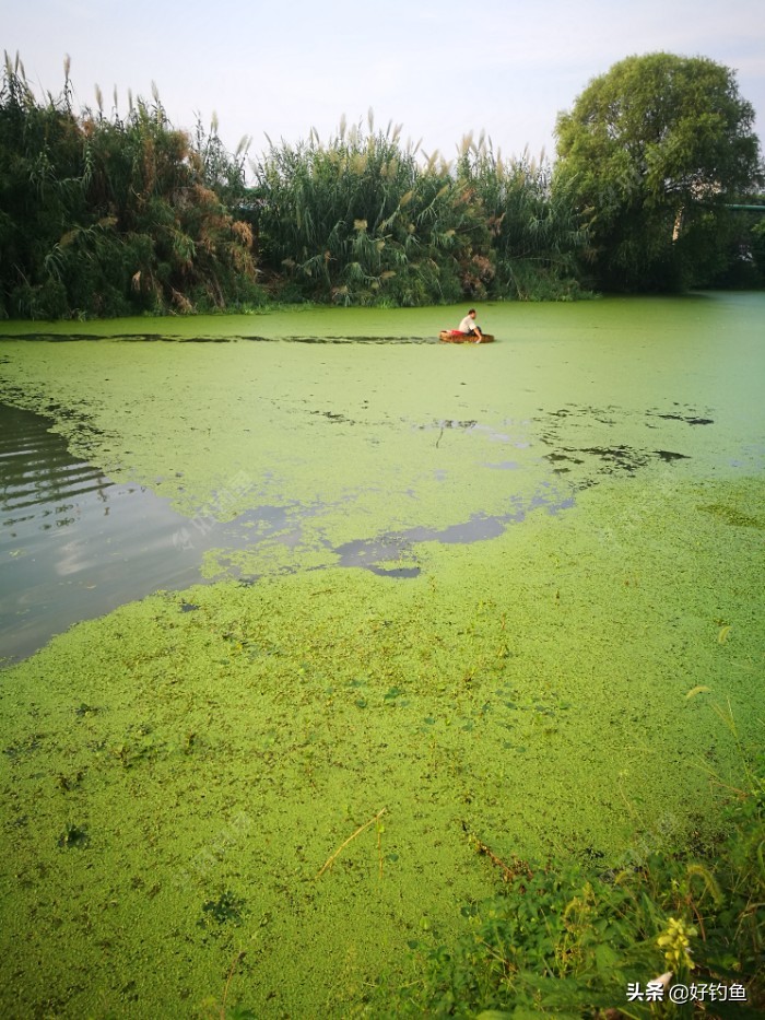 忙里偷闲的出来钓个鱼,忙里偷闲钓鱼