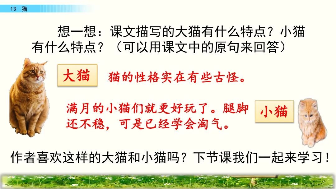 四年级下册语文13课猫课文解析,部编版四年级下册13猫教学视频
