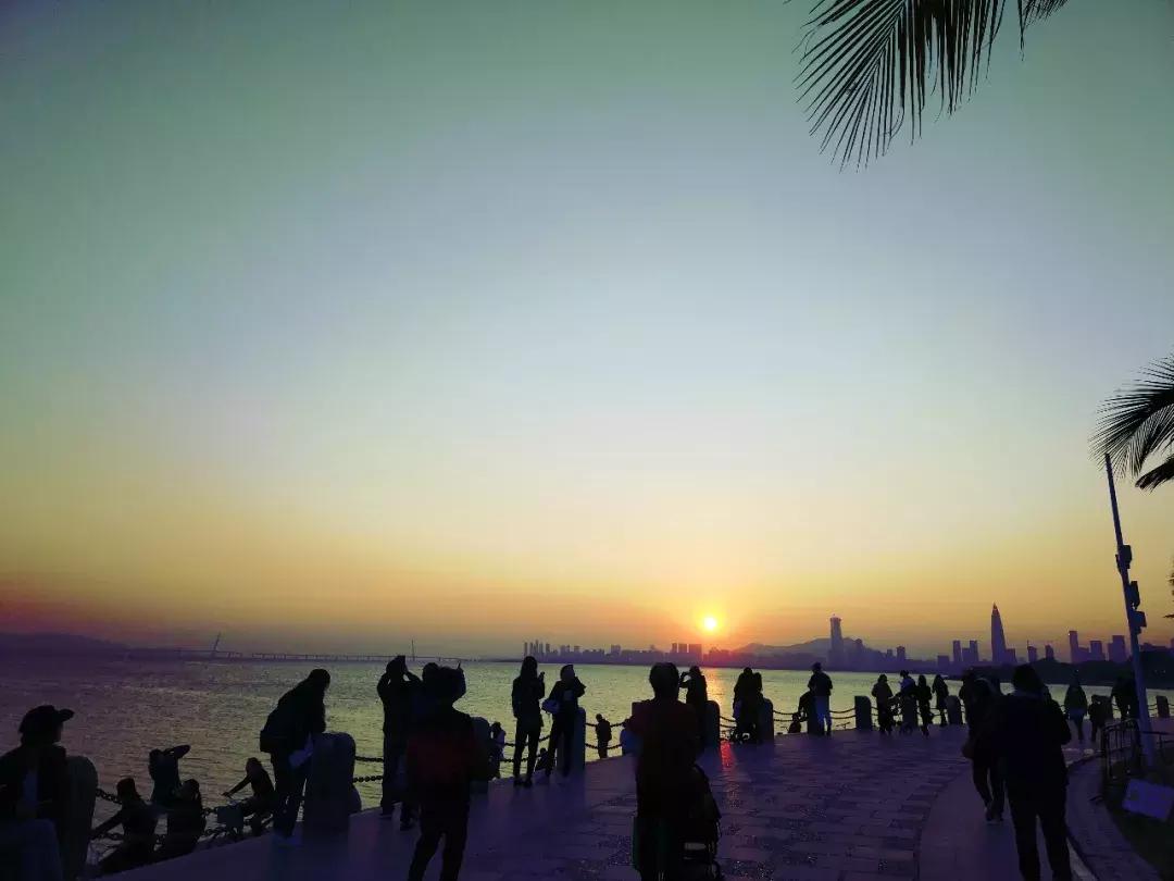 靠这64条玩转深圳！百万深圳人请收好！