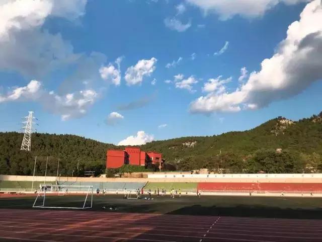 山东省高考志愿填报96个专业,山东高考志愿10万名