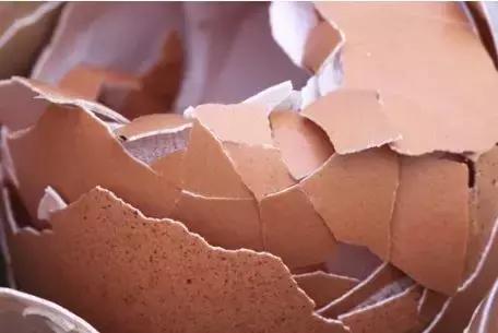 女性小心,美国强生爽身粉致癌风波再起!其去湿疹效果竟还不如蛋壳!?