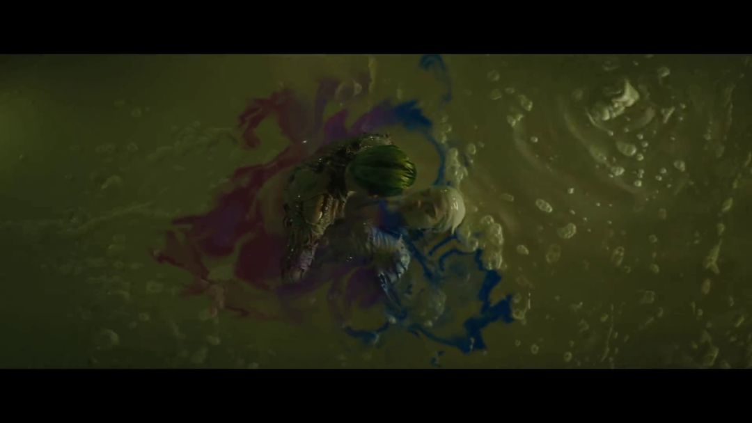 小丑女友哈莉结局,小丑女哈莉奎茵与猛禽小队