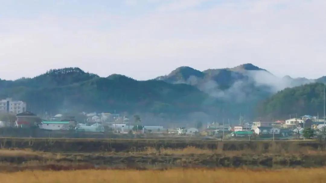 给吃了“*药春**“的时代泼点凉水，或许也是一种生活方式