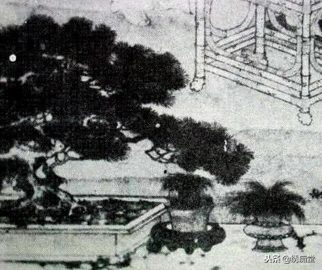 丛林式盆景欣赏,盆景欣赏及制作