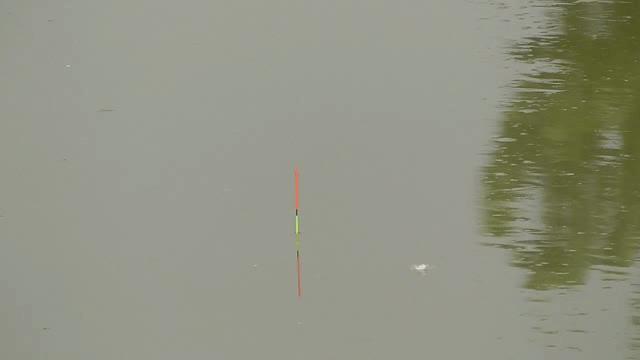 钓不到目标鱼怎么钓,钓不到鱼要死守还是换地方