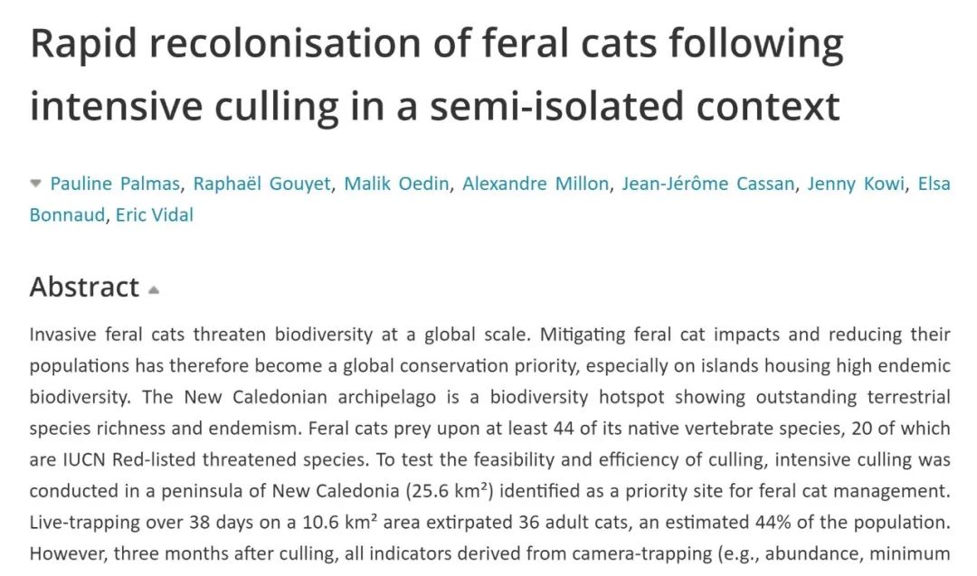 流浪猫的耳朵上为什么会缺了一角,流浪猫的耳朵上为什么会缺一角