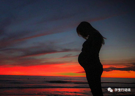 孕期记录第6周,孕期周刊第14周