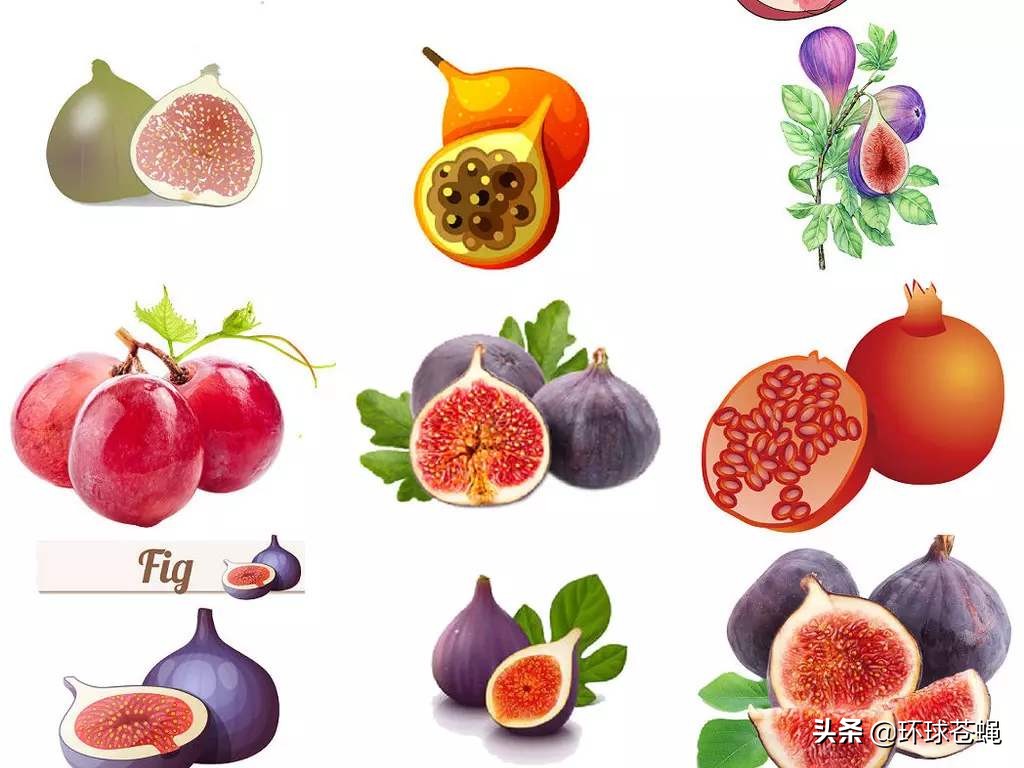 不求外在荣华，只求在基督里长进！关于无花果，你知道多少？