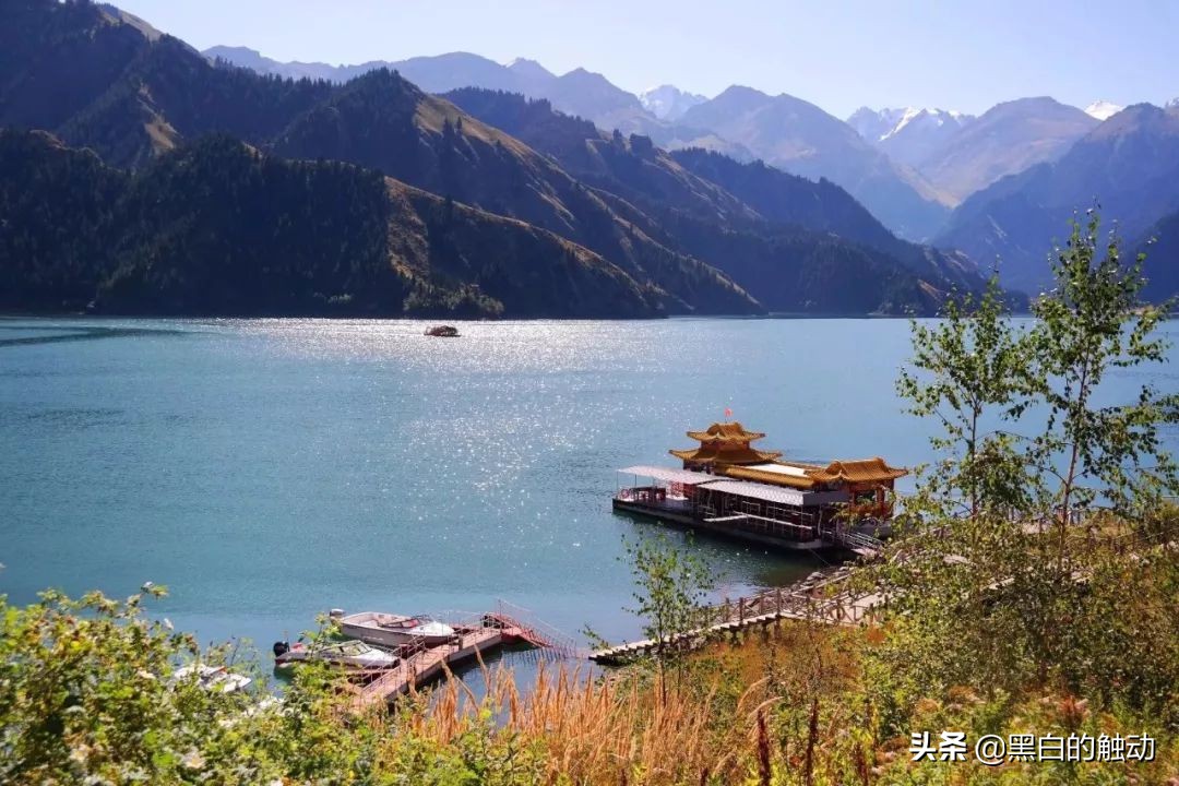 都说新疆好去新疆发展可靠么,都说新疆好地方