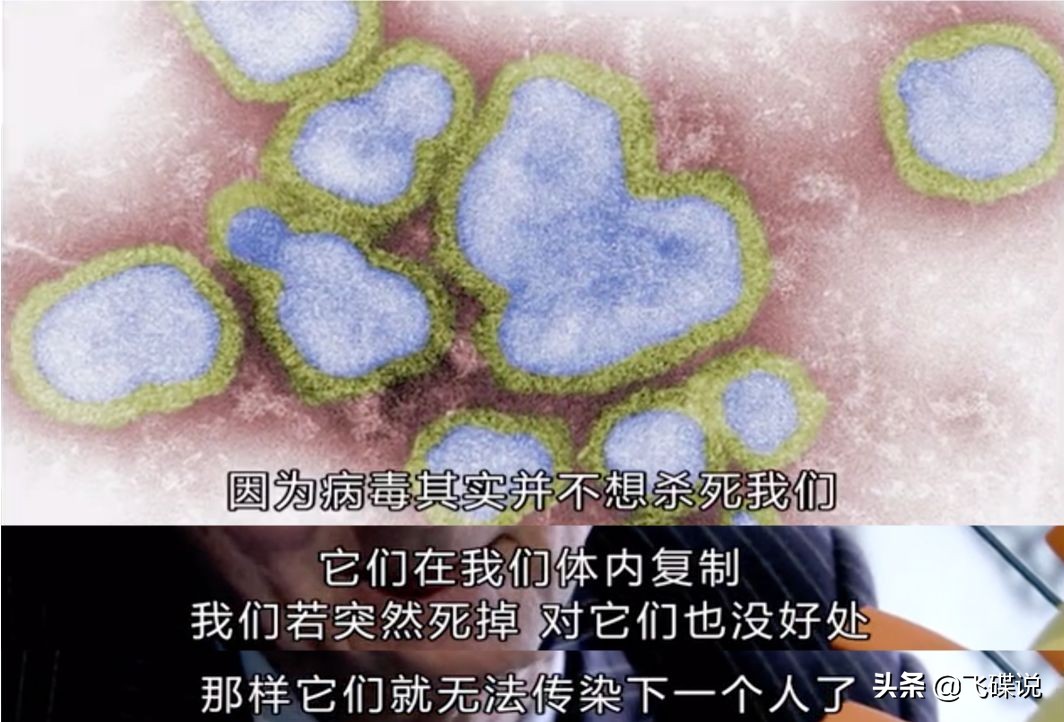 疫情下彻底看清了人性,疫情下摆正心态