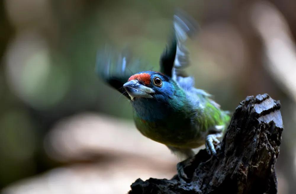 半山的酒店,半山酒店普洱