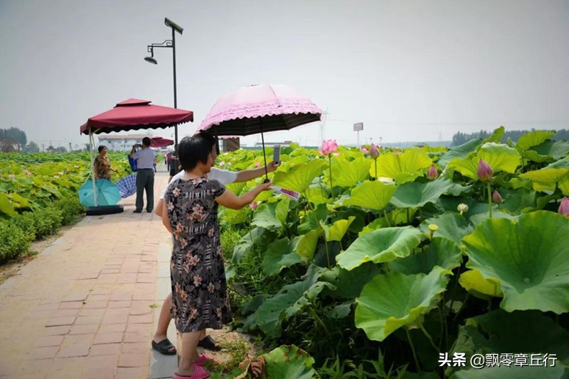 济南章丘有什么好风景,济南章丘八景之首