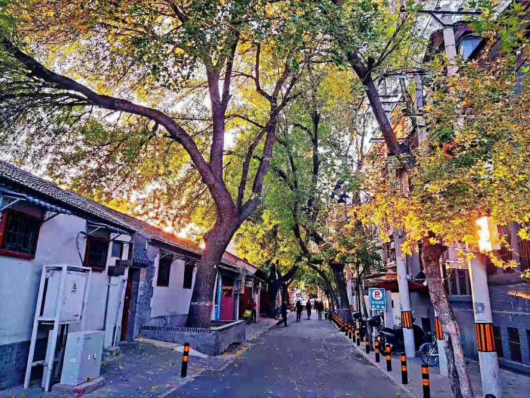 北京最美十条街巷,2019年度十大北京最美街巷