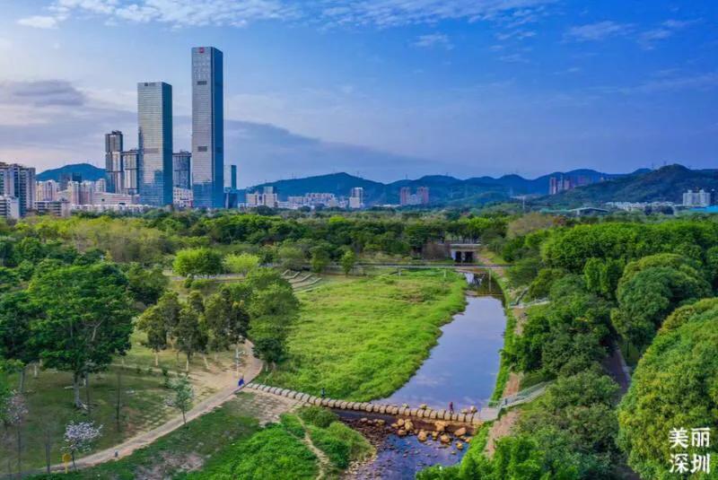 深圳花海公园推荐景点有哪些,深圳花海公园地址在哪里