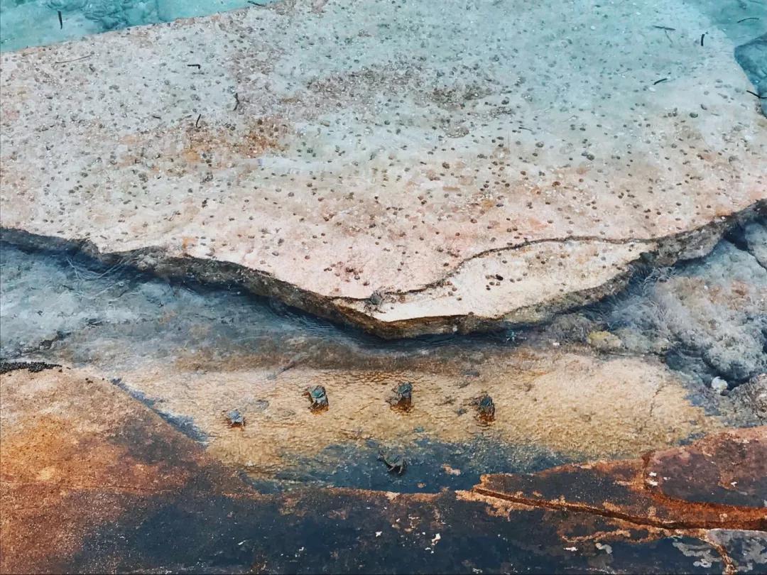 菲律宾自由潜水最好的地方,菲律宾旅游潜水