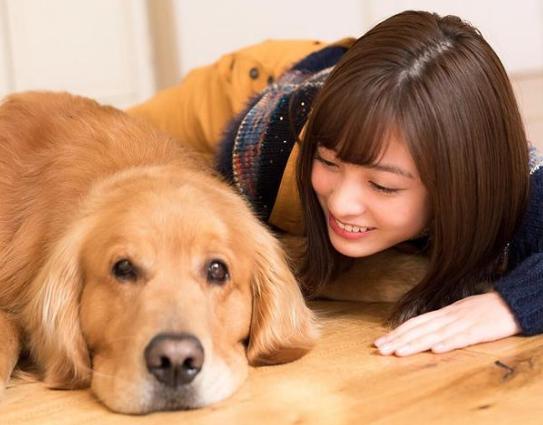 狗狗“发情”如何鉴定？这几点主人要知道