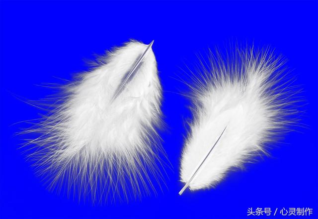 ps必学的100个技巧抠图教程,分享ps抠图十种方法教程详解