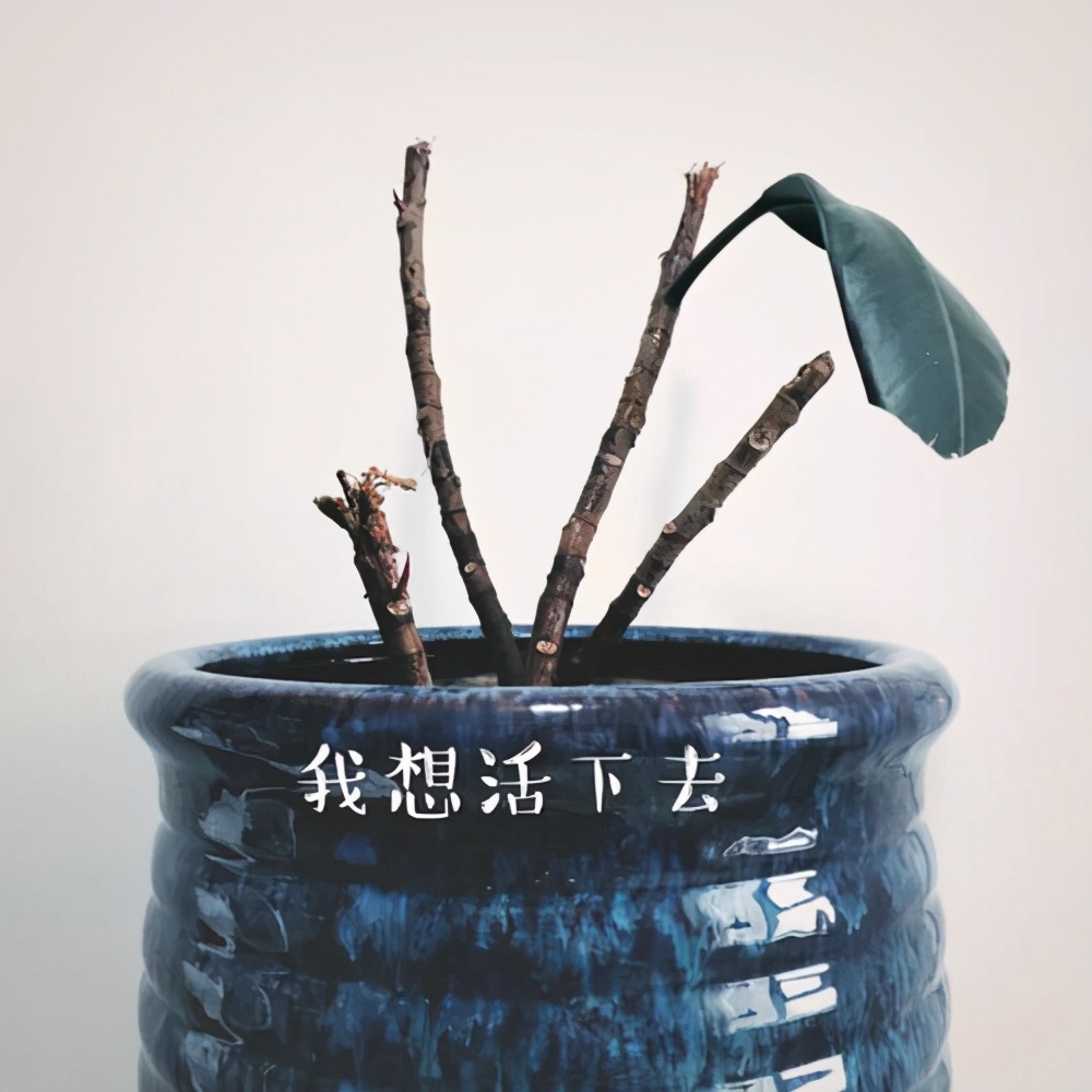 如何挽救一个自暴自弃的孩子,如何拯救一个自暴自弃的孩子