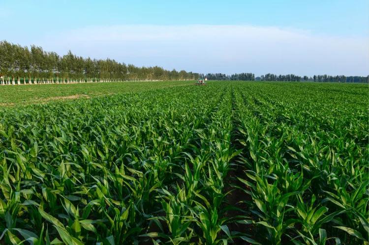 澶х帀绫宠豹杞︽憜鍦版憡,澶х帀绫宠豹杞︽憜鍦版憡浣嶇疆