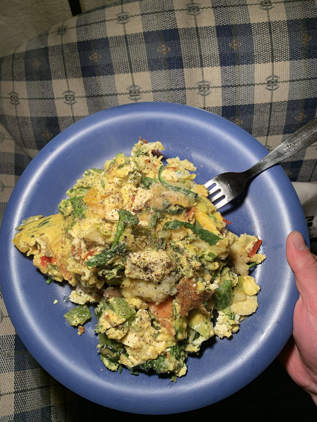 塔斯马尼亚心形小岛,降落西沙群岛