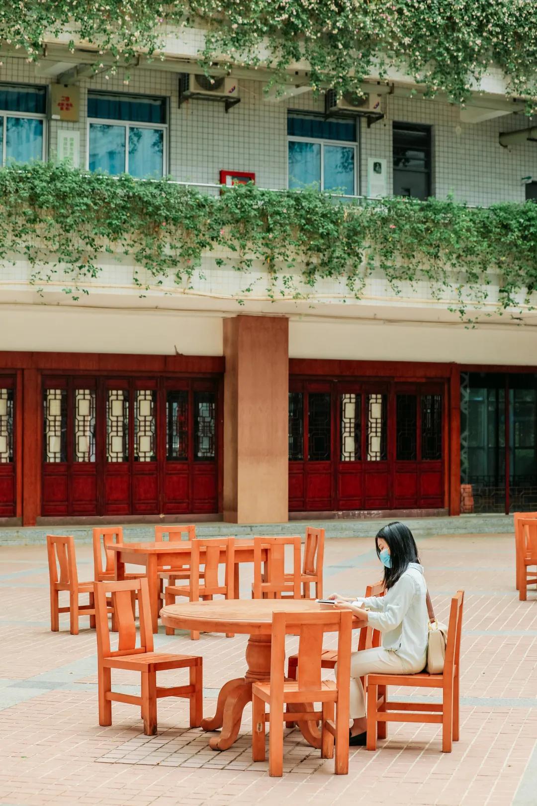 漫游东游西荡,漫游深圳城市