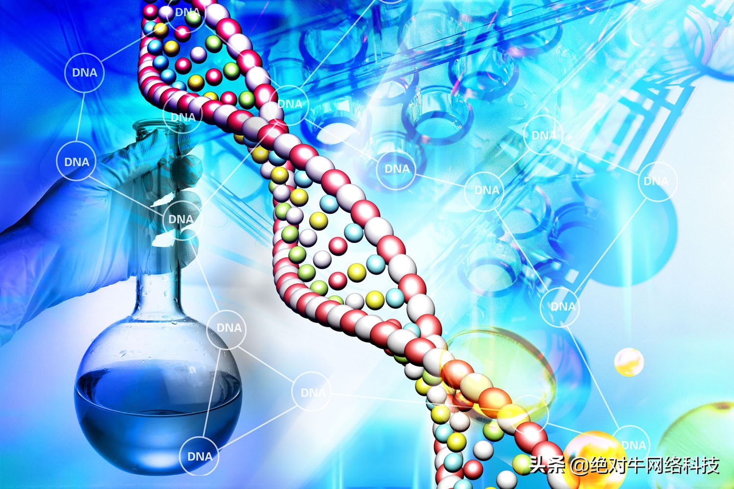 域名选择和seo排名的区别,seo二级域名和子目录哪个好