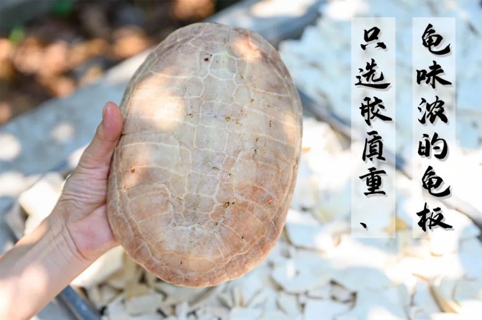 奶奶做豆沙糕视频,奶奶做巧克力奶茶