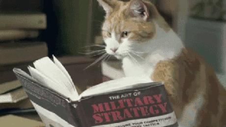 疟疾导致贫血的原因,疟疾会导致白细胞偏高吗