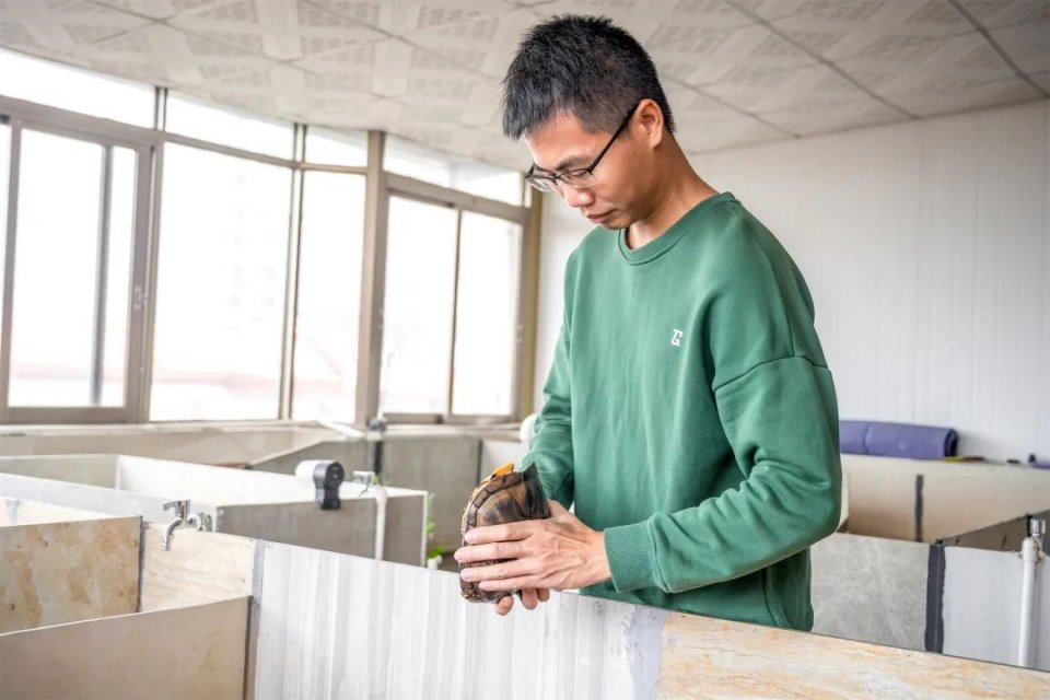 纯手工制作美食甜品,网红甜品推荐前十名制作方法