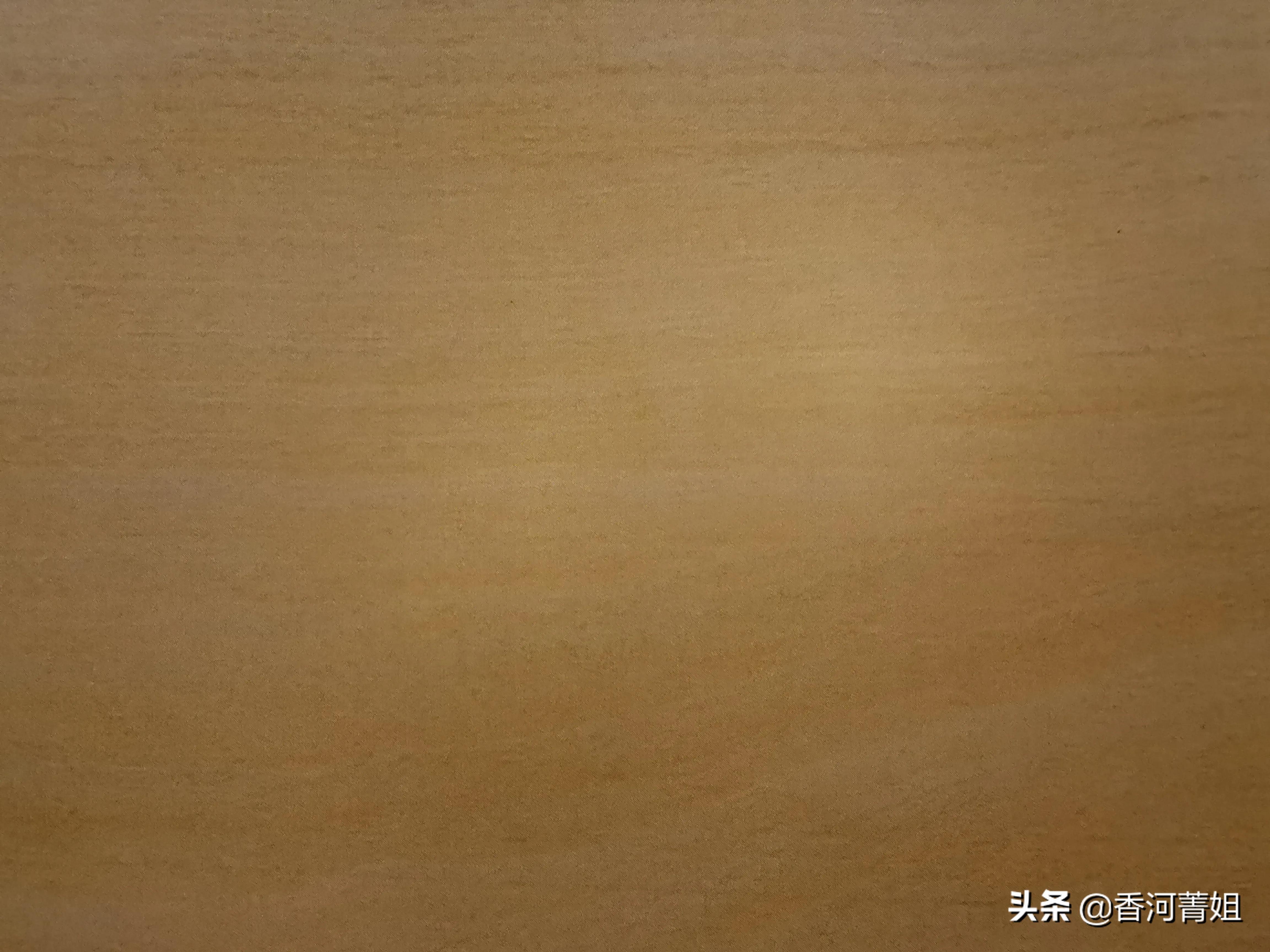 冬青木材,冬青木材图片