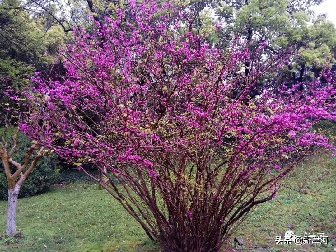 一个人的远方,一个人的远方太原站