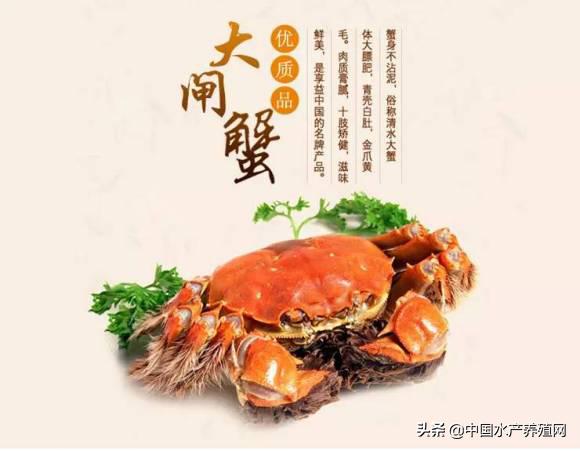 亩利润1万，年年赚钱的螃蟹怎样养？,一高淳｜当涂｜宣城产区《河蟹养殖优秀案例精选.2021》