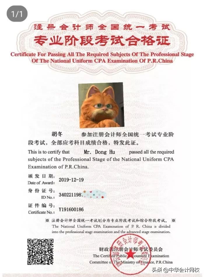 拼命考证六年后的心得,拼命考证6年后的感受