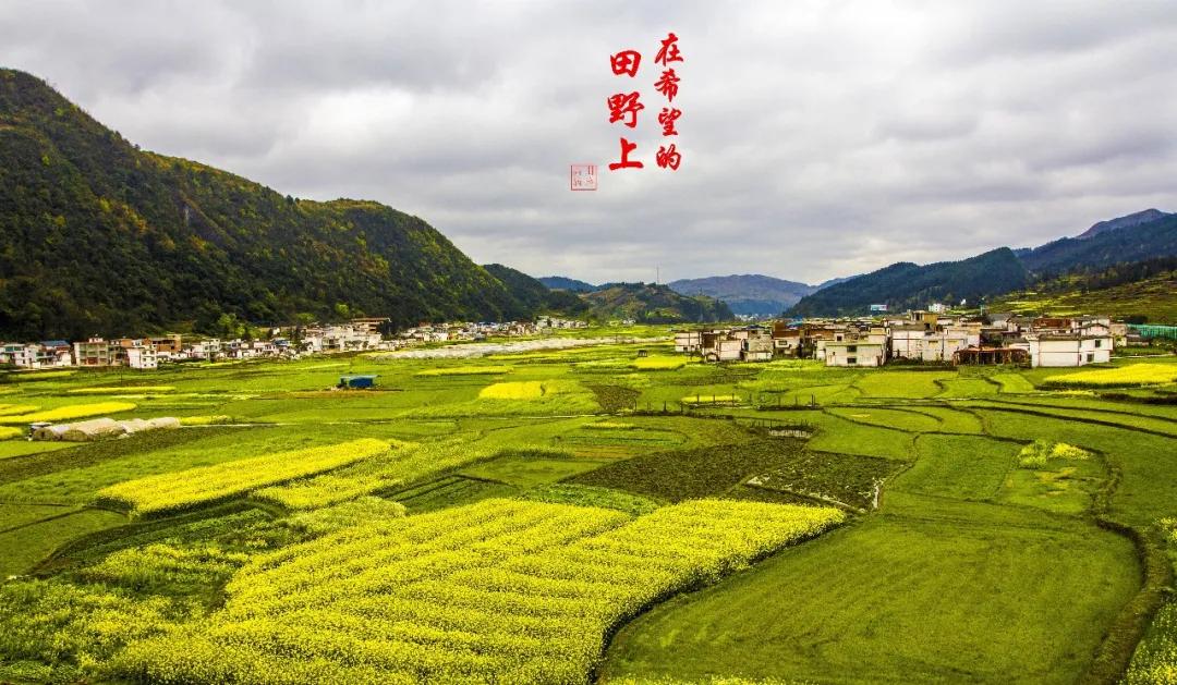 户口迁来了，可是教育局还是不给转学，我该如何是好啊