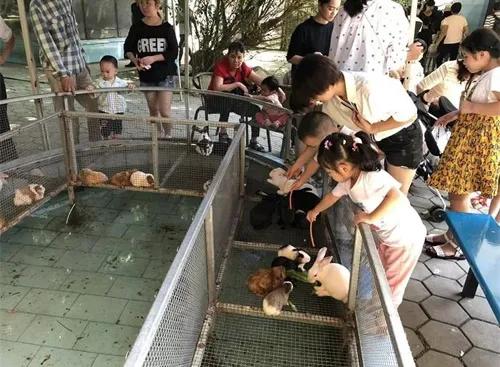 农村24个挣钱的事业,谁先做谁就是最先吃到螃蟹的人