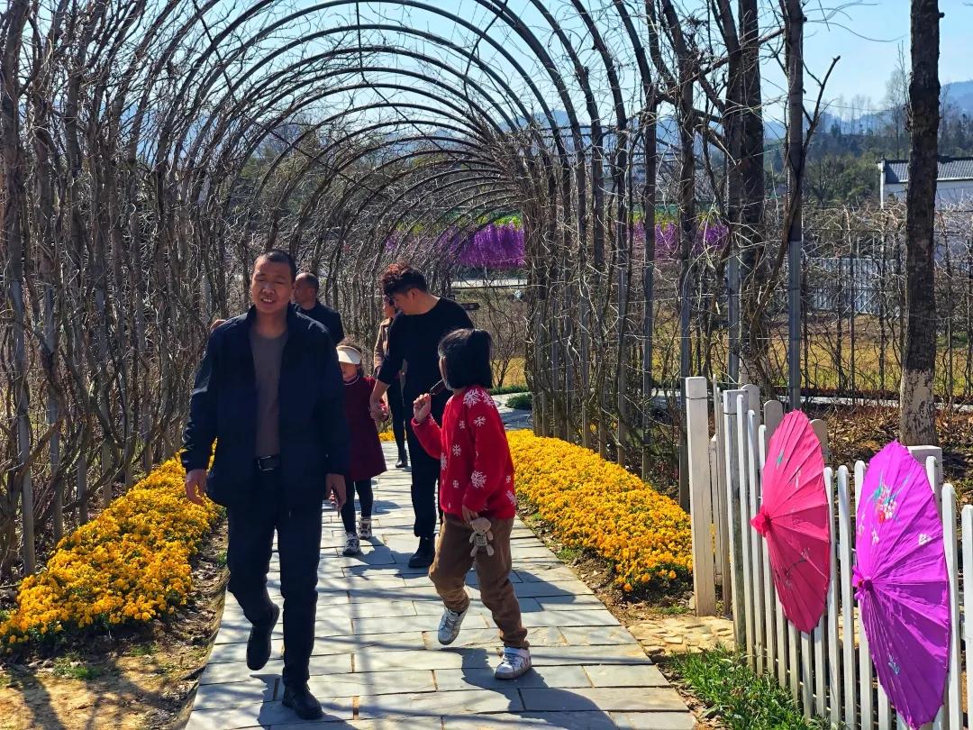 石林景区网红景点打卡,石林景区有什么好玩的景点