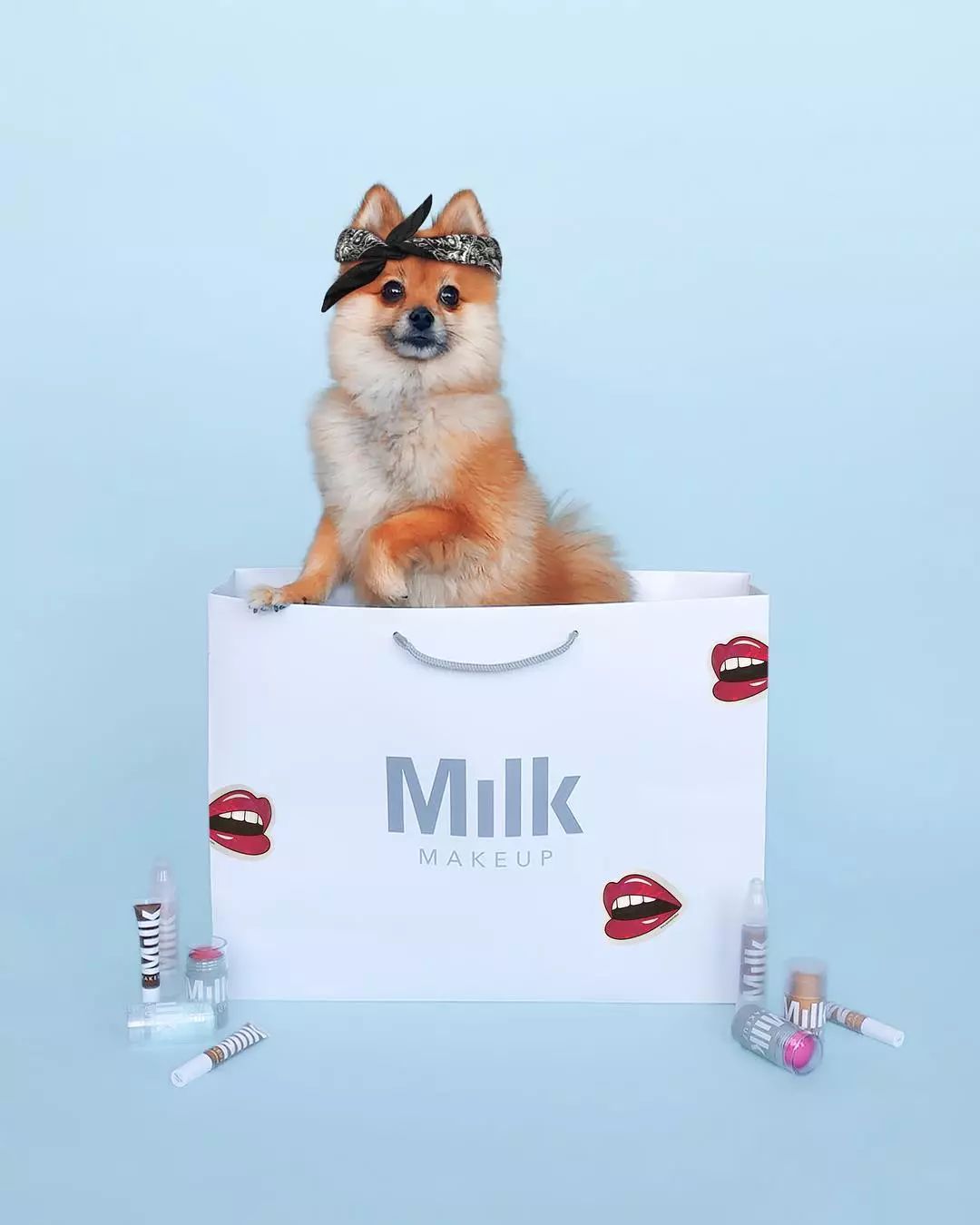 google最新产品,google品牌