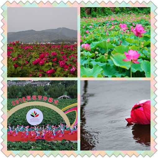 光禄的作品,光禄生日