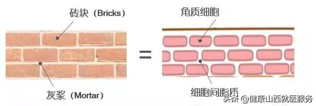 肌肤干燥敏感长痘怎么办,皮肤敏感泛红干燥怎么修复