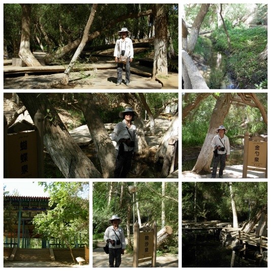 2013年E-1*疆新**东南西北中班车自助游-东