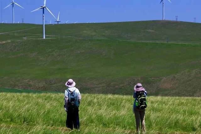 高考满分作文网友评价奇才,高考满分作文震惊世人