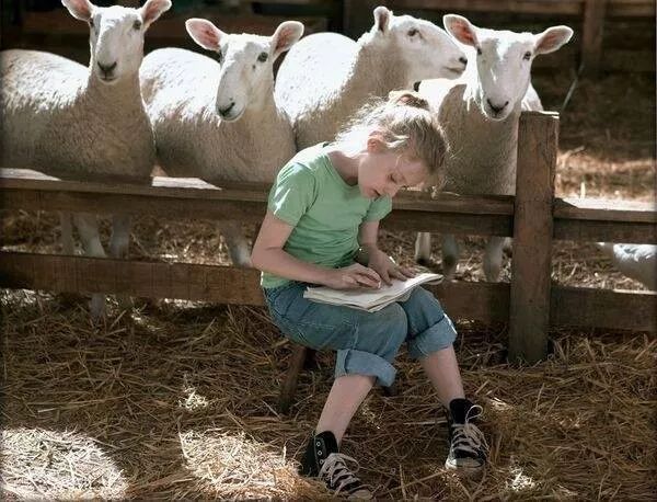 30部世界经典儿童影片给宅家的娃,寒假带孩子看24部经典儿童电影