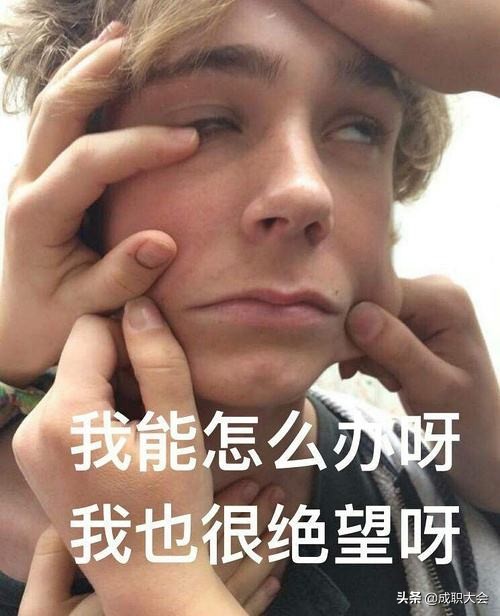 企业单位助理是做什么,在外企当行政助理