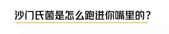 深圳卫健委|你从乡下带的土鸡蛋,或许还不如超市买的普通蛋
